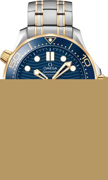 Omega Seamaster Professional Diver 300M 210.20.42.20.03.001 Omega Seamaster Professional Diver 300M 210.20.42.20.03.001