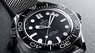 Omega Seamaster Professional Diver 300 210.30.42.20.01.010