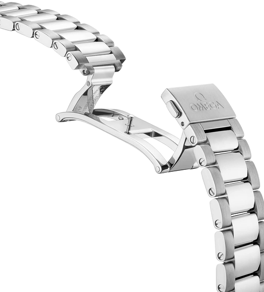 Omega Seamaster Aqua Terra 150M 220.10.41.21.03.004 Omega Seamaster Aqua Terra 150M 220.10.41.21.03.004