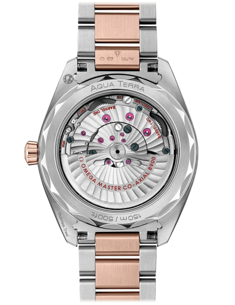 Omega Seamaster Aqua Terra 150M 220.20.41.21.02.001 Omega Seamaster Aqua Terra 150M 220.20.41.21.02.001