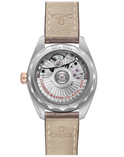 Omega Seamaster 220.23.34.20.06.001