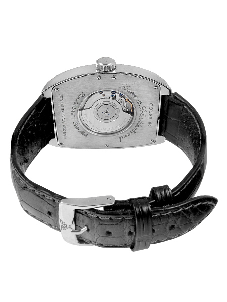 Dubey&Schaldenbrand Coupe 06 ACO/ST/SIC/LS Dubey&Schaldenbrand Coupe 06 ACO/ST/SIC/LS