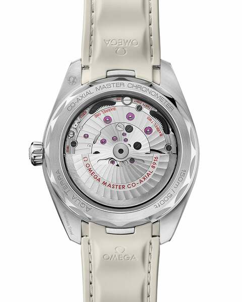 Omega Seamaster Aqua Terra 220.12.41.21.02.005 Omega Seamaster Aqua Terra 220.12.41.21.02.005