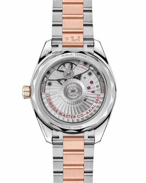 Omega Seamaster Aqua Terra 150M 220.20.34.20.10.001 Omega Seamaster Aqua Terra 150M 220.20.34.20.10.001