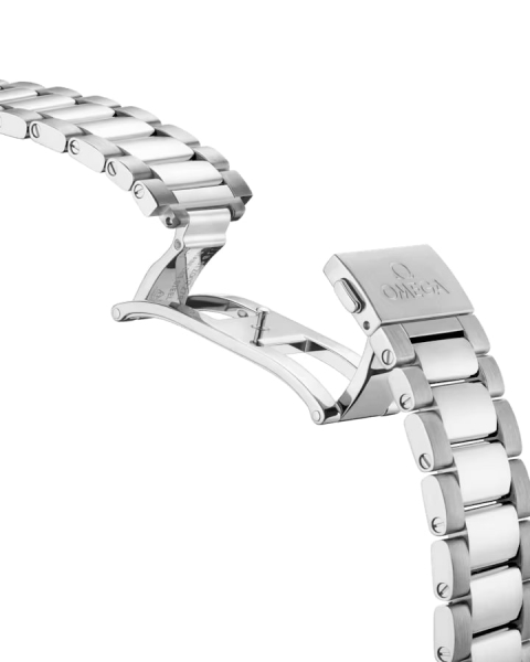 Omega Seamaster Aqua Terra 150M Beijing 2022 522.10.41.21.04.001 Omega Seamaster Aqua Terra 150M Beijing 2022 522.10.41.21.04.001