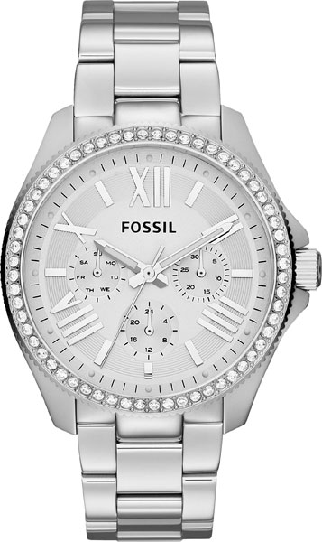 

Fossil Cecile AM4481