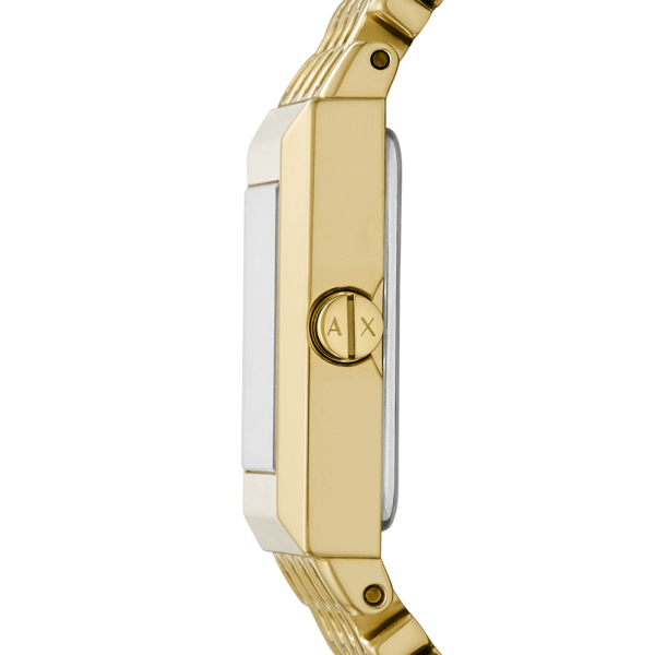 Armani Exchange Sarena AX5909