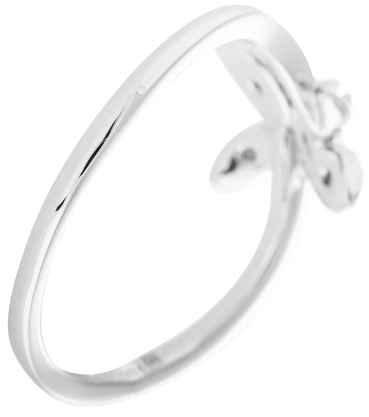 Кольцо Mauro Conti Ber.02R WD