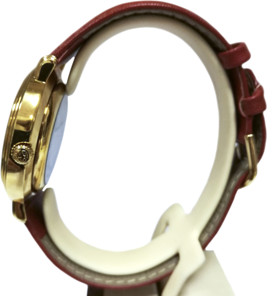 Mondaine Ecomatic Alp Action Recycled II Mondaine Ecomatic Alp Action Recycled II