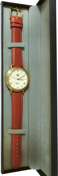 Mondaine Ecomatic Alp Action Recycled II Mondaine Ecomatic Alp Action Recycled II