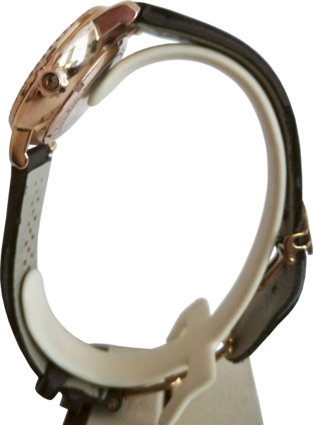 Frederique Constant FC303/310X2P4/5/6 Frederique Constant FC303/310X2P4/5/6