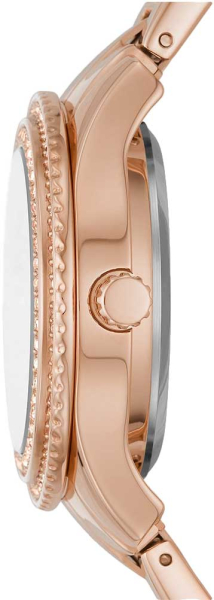 Fossil Stella ME3211