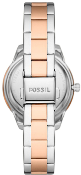 Fossil Stella ME3214