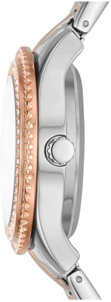 Fossil Stella ME3214