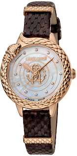 Roberto Cavalli by Franck Muller RV2L052L0041