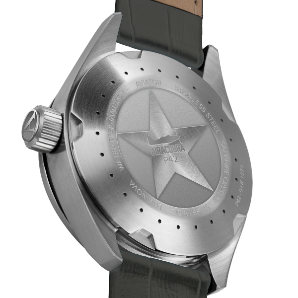 Aviator Airacobra P42 V.1.22.0.150.4