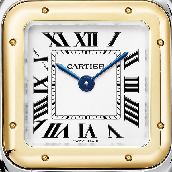Cartier Panthere de Cartier Medium Model W2PN0018