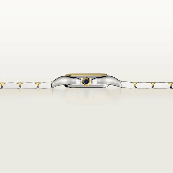 Cartier Panthere de Cartier Medium Model W2PN0018