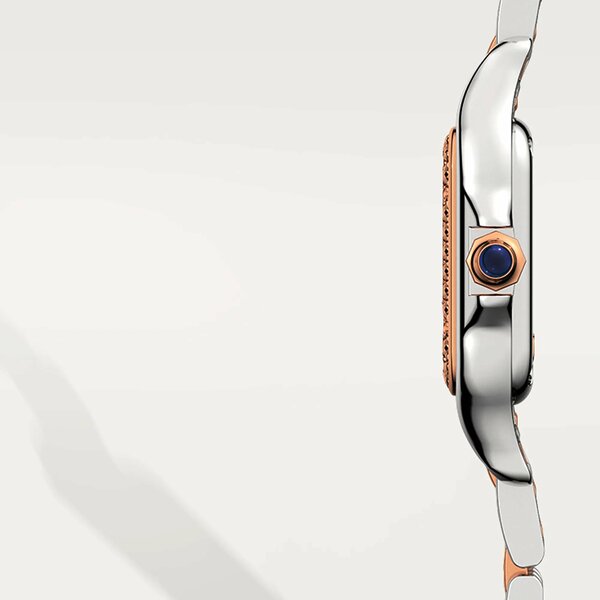 Cartier Panthere de Cartier Small Model W3PN0009