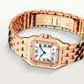 Cartier Panthere de Cartier WJPN0009