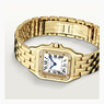 Cartier Panthere de Cartier WJPN0016