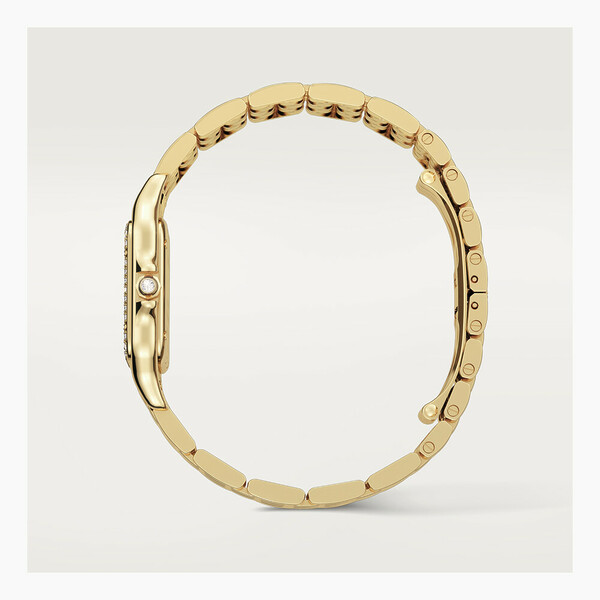 Cartier Panthere de Cartier WJPN0016 Cartier Panthere de Cartier WJPN0016